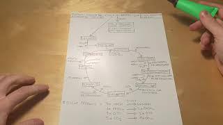 Ciclo di Krebs Semplificato | Biochimica