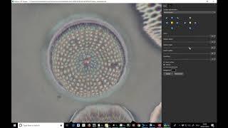 Helicon Focus using microscope images of a diatom