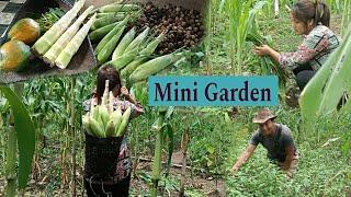 Mini Garden tour.." Blessed lots of veggies 