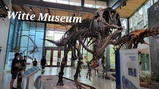 Witte Museum San Antonio TX