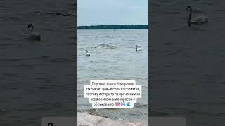 Не верь глазам своим... - Из книги Измерение - Елена Гущина #lol2o_energy #метафизик