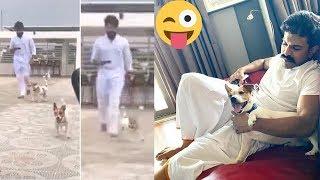 Ramcharan Spend Time With His Pet Dog at Home | Chiranjeevi Cooking Videos |  Filmylooks