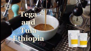 Tega and Tula - an exciting change to coffee from Ethiopia.