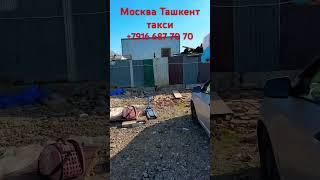 Москва Ташкент такси автобус Санкт-Петербург Ташкент такси автобус