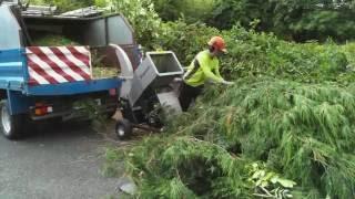 Jansen GTS-1500E Small wood chipper. In action :)