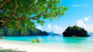 1 HOUR NON Stop Palawan Philippines Beach Ambient Relaxing Nature Sounds in Tropical Paradise