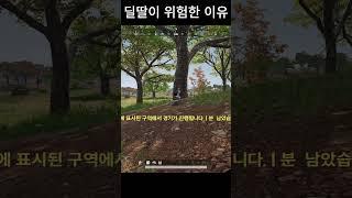 딜딸이 위험한 이유  #배그 #배틀그라운드 #카배 #shorts