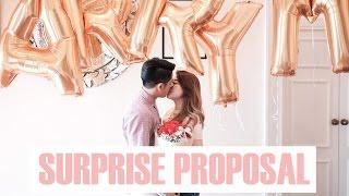 THE SURPRISE PROPOSAL