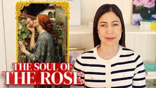 The Soul of the Rose | Seek Out the Arts Feb 2025