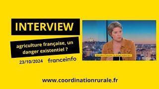 Agriculture française, un danger existentiel ? Amélie Rebière, vice-présidente de la CR (franceinfo)