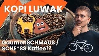 KOPI LUWAK Kaffee: teuerster Kaffee der Welt?!