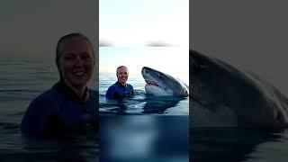  Meet Alicia, The Shark Whisperer! Unbelievable friendship caught on camera!  #VEO3 #Sharks #Ocean