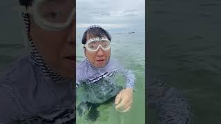 동해바다 런던고라니 #새채널구독좀