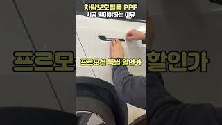 범퍼 PPF 시공을 이 가격에...