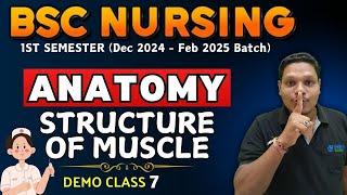 STRUCTURE OF MUSCLE | anatomy bsc nursing | bsc nursing 1st sem | anatomy BSC NURSING | BSC NURSING