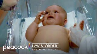 "What Happened To Her Was A Crime" | Law & Order: SVU