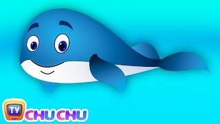 Blue Whale Nursery Rhyme | ChuChu TV Animal Songs & Nursery Rhymes For Children