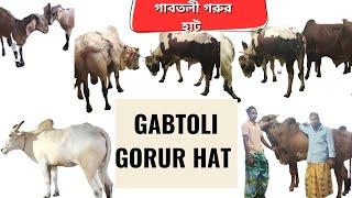 gabtoli gorur hat 2024! গাবতলী গরুর হাট|cow price in Bangladesh