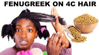 I should have used fenugreek my whole life. Ohhhhhhhh. Ok. | 4C Natural Hair