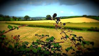 A walk in rural Denbighshire, North Wales.