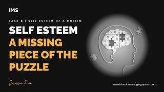 Missing Piece of the Puzzle | Self Esteem | Understanding Key Factors | IMS DF | Task 8