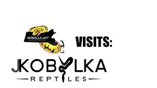 Raphy Visits: J. Kobylka Reptiles