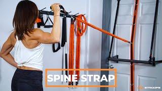 Stroops - Commercial Gym Solutions // Spine Strap