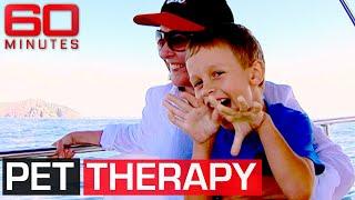 Animal therapy proving to be a success with autism | 60 Minutes Australia