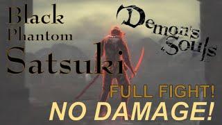 Satsuki Fight NO DAMAGE - Demon's Souls Remake (PS5)