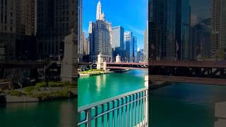 Chicago Downtown | St.Regis, London House, Jewelers, The Wrigley Buildings, Trump and Tribune Towers
