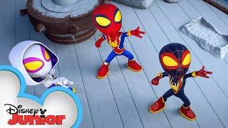 Spidey Web-Spinners Season 3 Trailer | Marvel's Spidey and his Amazing Friends | @disneyjr