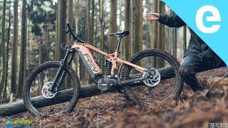 FREY Beast 60V & 1,800W electric mountain bike unveiled