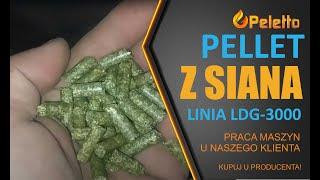 Pellet z siana, produkcja pelletu u naszego klienta LDG3000