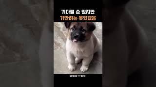 가만히는 안됨