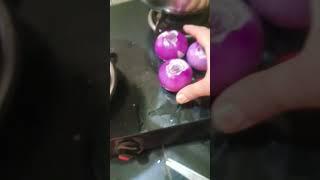 लंच #shorts #ytvideos #ytshorts #trapti_bloggers