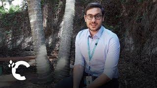 A Day in the Life: University of Queensland Medical Student