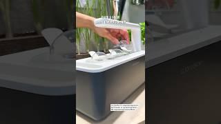 My favorite for growing herbs in the kitchen 