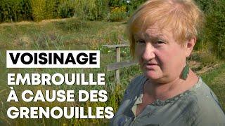 Conflit de voisinage à cause de... grenouilles