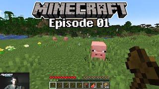 Started a New Minecraft World - Episode 01