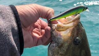 Livescope And FFS Have Officially RUINED Smallmouth Bass Fishing…