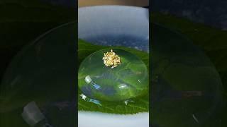 Jiggly Raindrop Cake