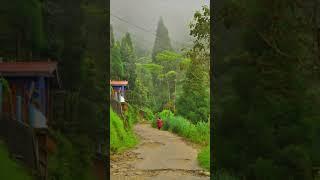 Top 5 Offbeat Places in North Bengal ️️ Darjeeling #travel #youtubeshorts #shorts #viralshorts