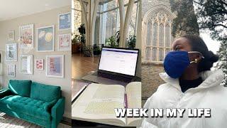 LAW SCHOOL VLOG: fall grades, getting my couch, classes, studying, + Facebook furniture finds