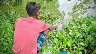 Hook Fishing  Traditional Hook Fishing ~ Village Daily Life ( part-309 )