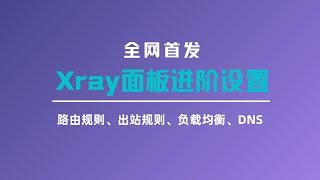 【全网首发】伊朗版xray面板|3x-ui面板进阶设置，详细分享xray设置的各个功能，路由规则、出站规则、负载均衡和DNS，轻松实现流量精细化分流，进一步了解xray设置#一瓶奶油