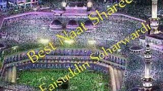 Hai Jannat Se Badhkar Madine Ki Galiyan||Faisuddin Soharwardi||Beautiful Naat Shareef