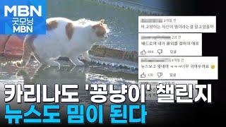 카리나도 '꽁냥이' 챌린지…뉴스도 밈이 된다 [굿모닝 MBN]