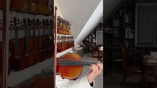 Classic Reappearance Strad 1716 Violin CR7002/Purfling First