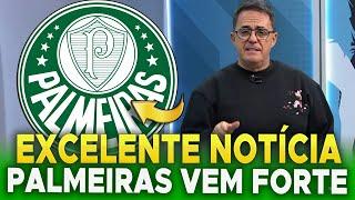  SAIU AGORA! PALMEIRAS EM BUSCA DO TÍTULO! INFORMAÇÕES EXCLUSIVA! ÚLTIMAS NOTÍCIAS DO PALMEIRAS