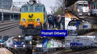 pociągi na stacji Poznań Główny IC, EIC, TurKol, ŁKA, Polregio + Poznański Dzień Kolejarza